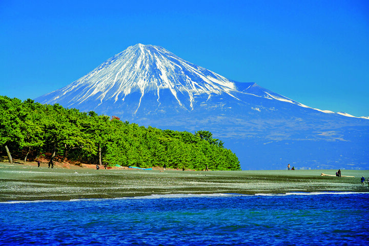 【三保】富士山に見とれる、日本三大松原のひとつ「三保松原（羽衣の松）」