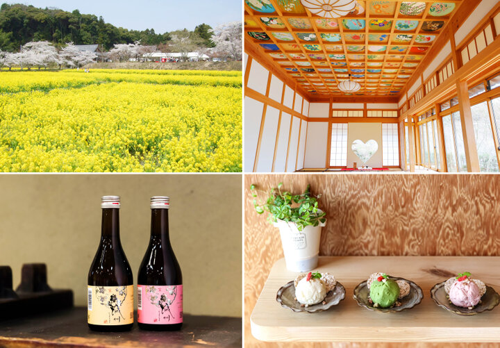京都・山城にある徳川家康ゆかりの伊賀越えルートへ。里山の隠れ寺、宇治茶、カフェめぐりも♪