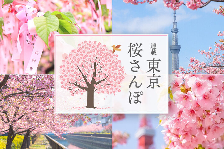 【連載】東京 桜さんぽ