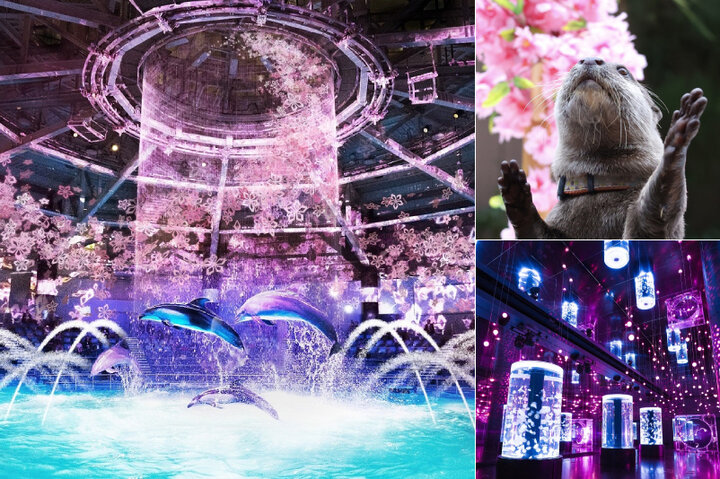 3/4-4/23｜満開の桜アートに魅せられる、海の世界のお花見へ「NAKED SAKURA AQUARIUM」