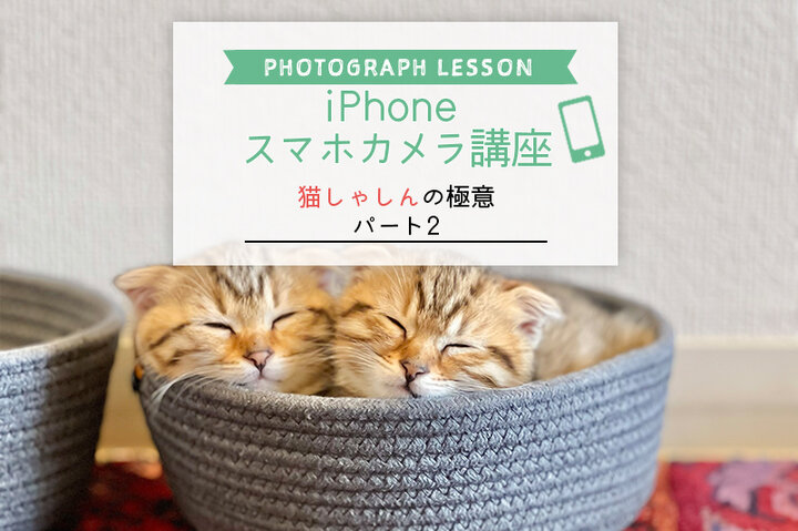 iPhone・スマホカメラレッスン】～猫しゃしんの極意 パート２