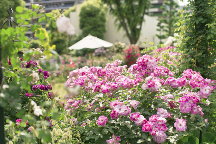 都内近郊の庭園＆ガーデン6選～新緑やバラが美しい季節のショートトリップ～