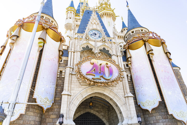 ✨東京ディズニーランド 40周年 Tシャツ ドリームゴーラウンド【L】