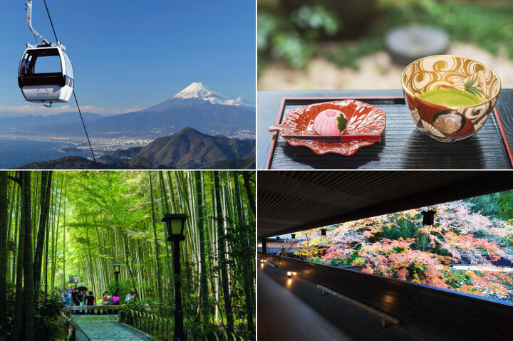 【伊豆1泊2日】富士山絶景、古民家カフェ、レトロモダンな森のリゾートへ