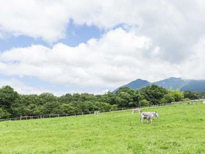 【栃木県】美しい山々の麓で自然や動物と親しめる「那須」