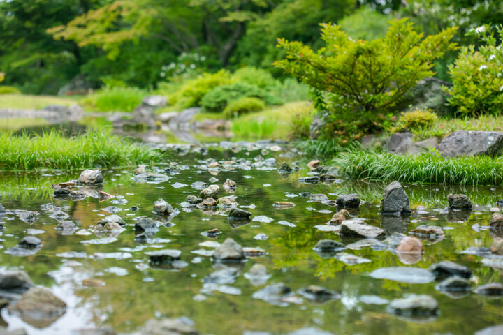 涼やかな水の流れを感じる