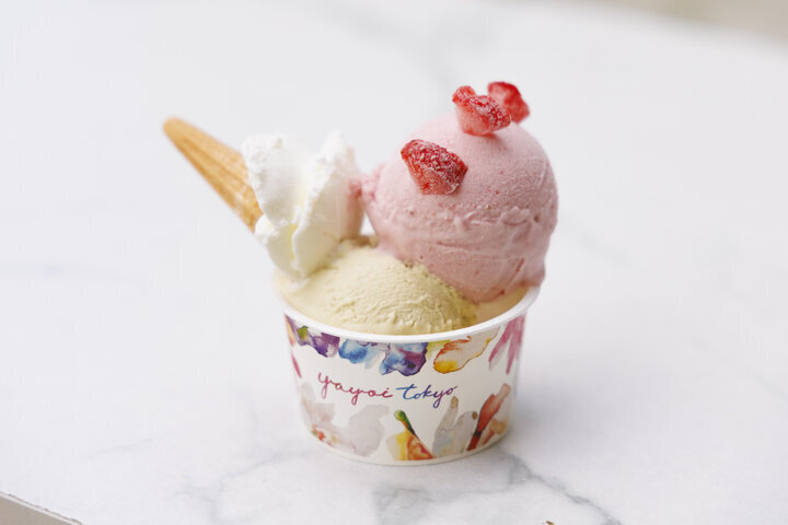 東京のアイスやジェラートがおいしいお店12選～夏に行きたい専門店からアクセス抜群のエキナカ店まで～