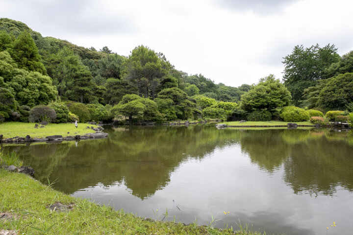 日本庭園や重要文化財の建物、並木道も楽しめる