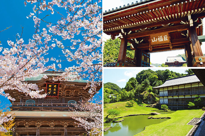 心がいやされる鎌倉のお寺と神社7選 ｜ ことりっぷ