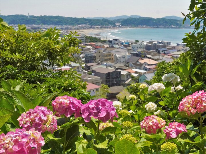 鎌倉観音巡礼三十三箇所 御朱印 長谷寺、建長寺、高徳院など全33 - その他