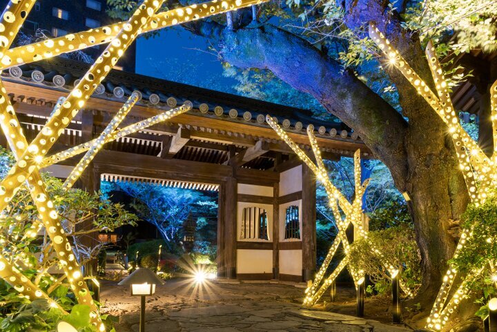 京提灯と竹あかりの優しい灯りが織りなす夏の風雅な新絶景「タイムトリップ絶景夕涼み」