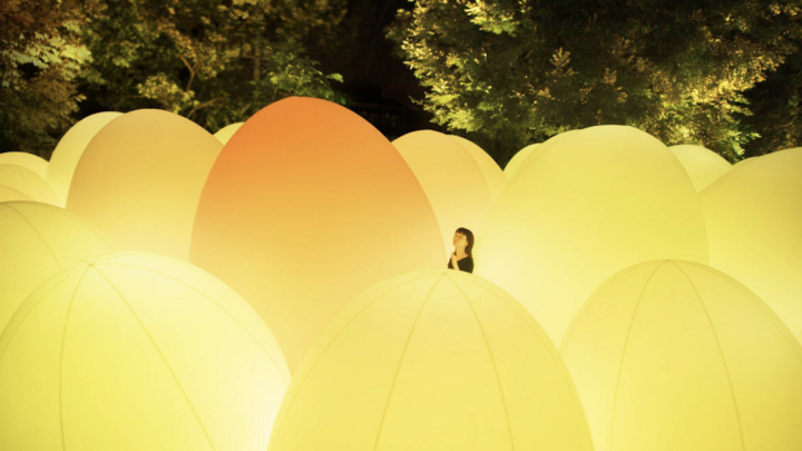 9月30日スタート！夜の金沢城を光のアート空間に変える「チームラボ 金沢城 光の祭」