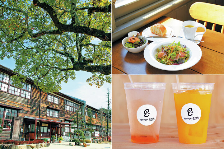 【和歌山】地元のおいしいものが味わえる、田辺のすてきなお店