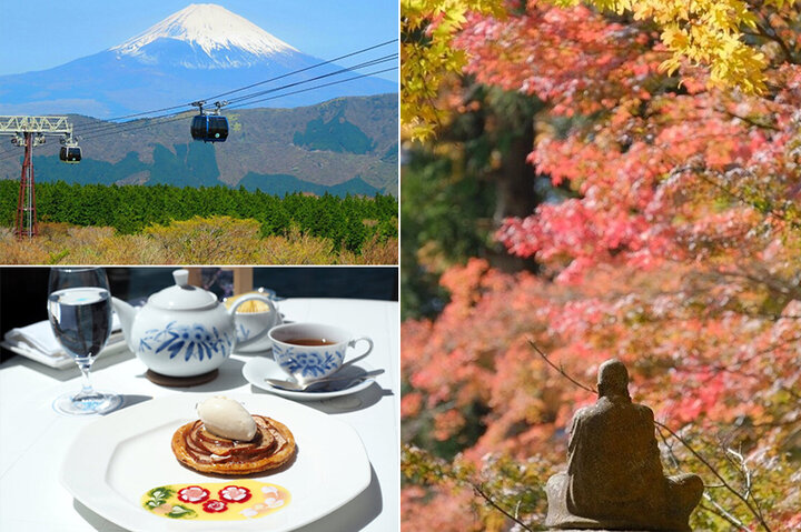 【箱根1泊2日】秋を楽しむ週末ひとり旅～幻想的なすすき野原から、大自然に包まれる美術館まで～