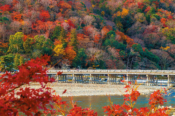 水辺の秋景色を楽しむ、渡月橋から始まる桂川さんぽ