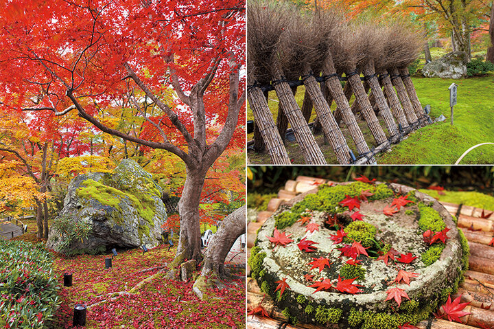 秋色に包まれた庭園と命が宿り燃える朱色の襖絵