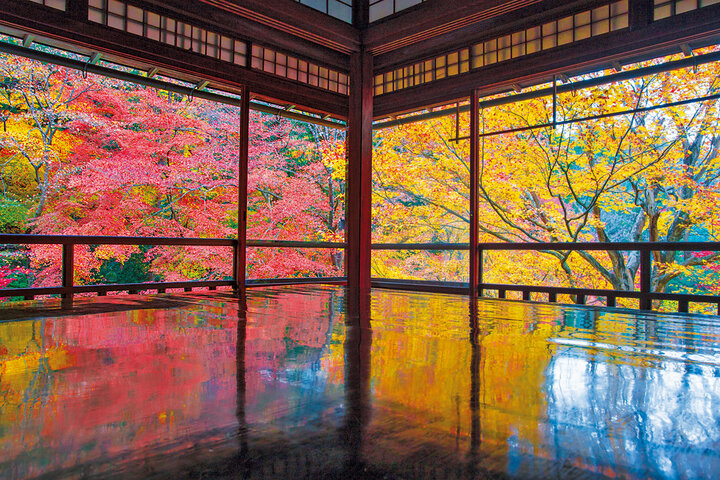 この秋行きたい京都の紅葉5選。真紅や黄金色に輝く木の葉に感動