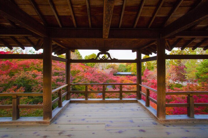 “錦の雲海”が眼下に広がる名所「東福寺」