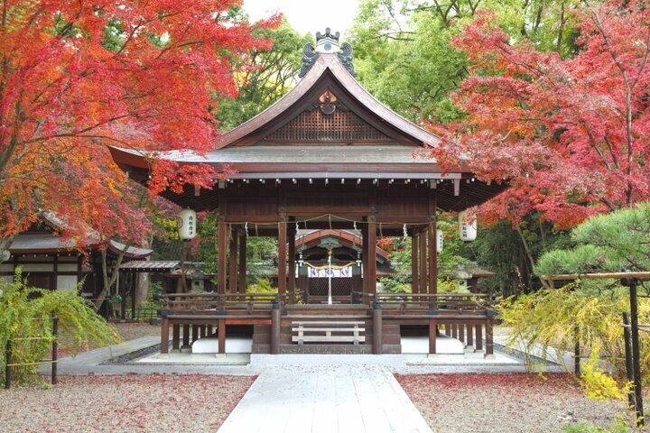 秋の京都ひとり旅おすすめプラン〜名所さんぽも♪ 紅葉とアートを楽しむ休日〜