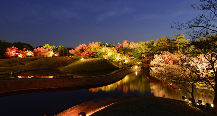 【京都】美しい紅葉とライトアップが楽しめる京都の庭とお寺8選