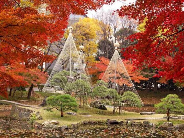 【東京】紅葉スポット9選。ライトアップから紅葉ビューのテラス席、穴場まで