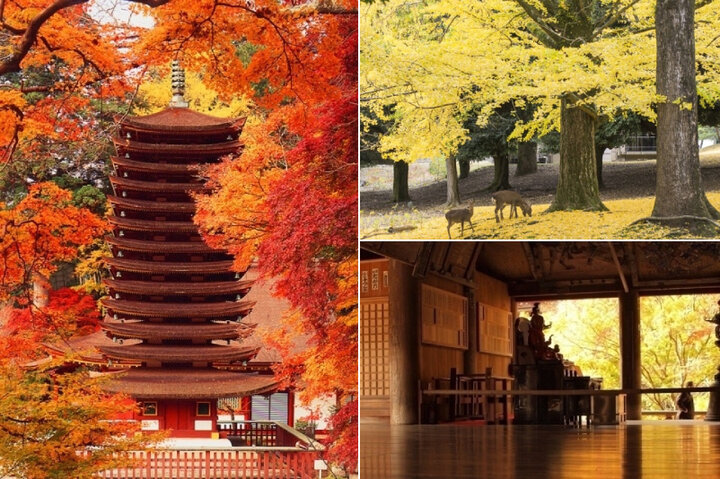 【奈良】紅葉スポット8選。天然記念物の鹿や十三重塔とともに絶景を堪能