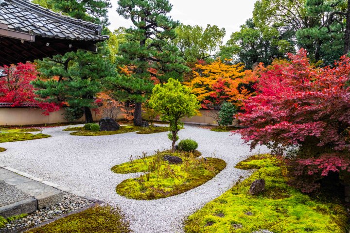白砂に緑の苔地、錦の紅葉が美しい「源氏の庭」
