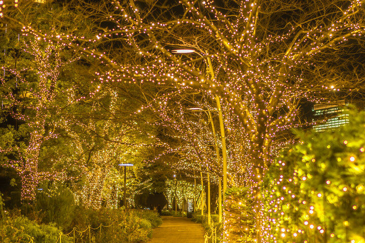 ウィンターシーズンを通して煌びやかに輝く人気のイルミネーション「光の散歩道」