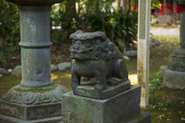 都内神社で最古の石造狛犬に出会える