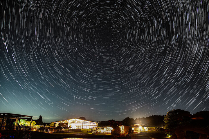 上半期は新しい風と未知の可能性の到来