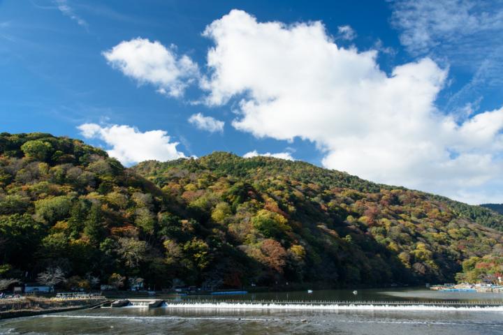 何度来ても癒される。みどり豊かな京都・嵐山さんぽ