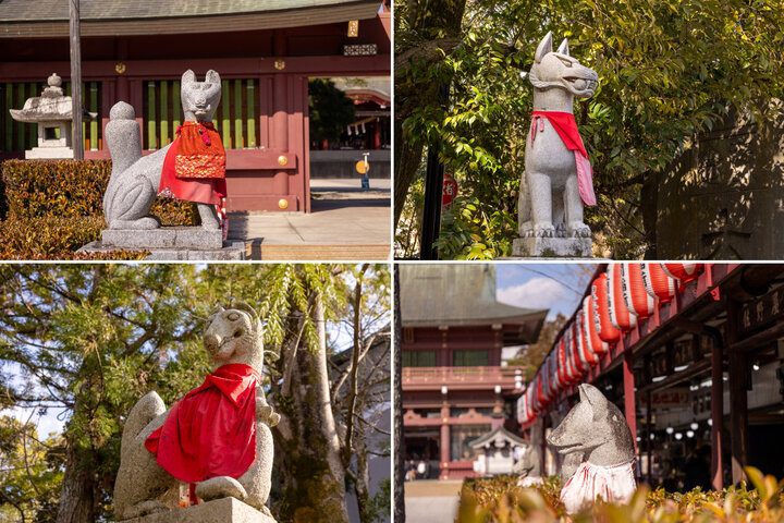 神様のお使い「おきつねさま」