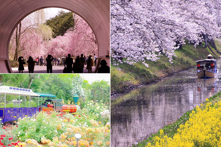 大阪から2時間以内♪ 春の小さな旅にぴったりの関西スポット9選～桜の名所からゴールデンウィークに行きたいイベントまで～