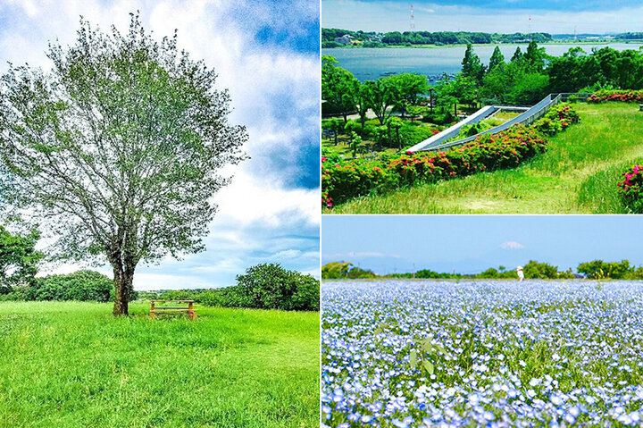 東京から1〜2時間♪　関東で行きたいピクニックスポット6選〜海辺の絶景の公園から地下鉄で行ける穴場まで〜