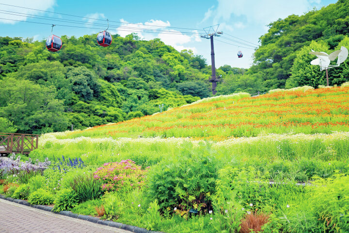 関西で行きたいピクニックスポット6選〜山の上の絶景ガーデンから池のほとりの自然の楽園まで〜