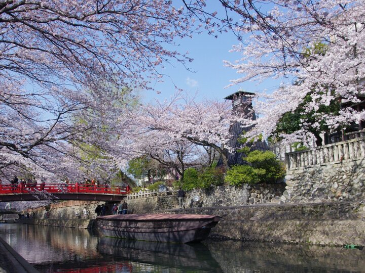 春は桜が見ごろに。川沿いを歩きながら立ち寄ってみては