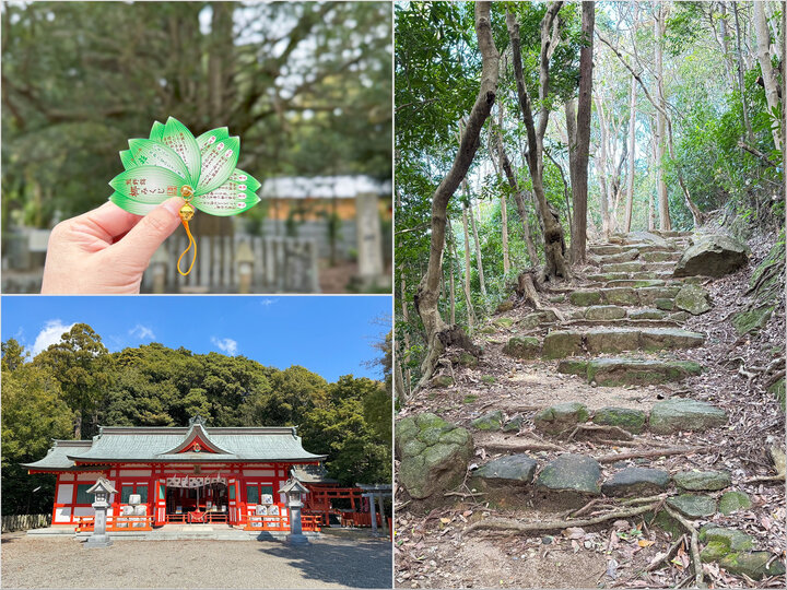 和歌山・新宮でパワースポット巡り♪熊野古道や熊野川舟下りの大自然を体感 ｜ ことりっぷ