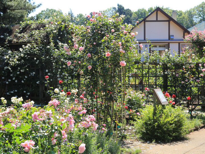 千葉北部エリアへ週末旅♪八千代・佐倉の自然豊かな海と里山を訪ねて