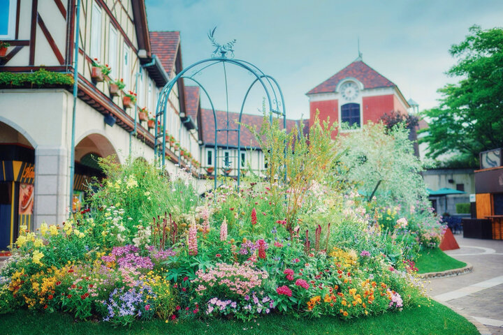 3/16-7/7|"神戸布引ハーブ園"でGARDEN FEST 2024 -Spring-開催♪~季節の花とハーブに癒やされる休日を~