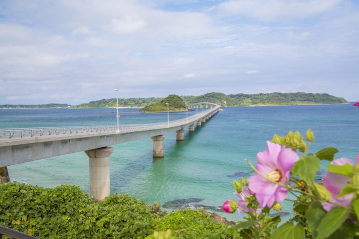 【山口｜角島】コバルトブルーの海に架かる雄大な橋