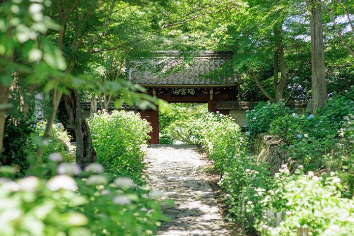 文化的な価値が高い、深溝松平家の菩提寺