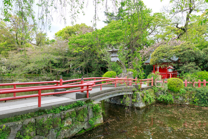 季節ごとに趣深い風景が楽しめる境内