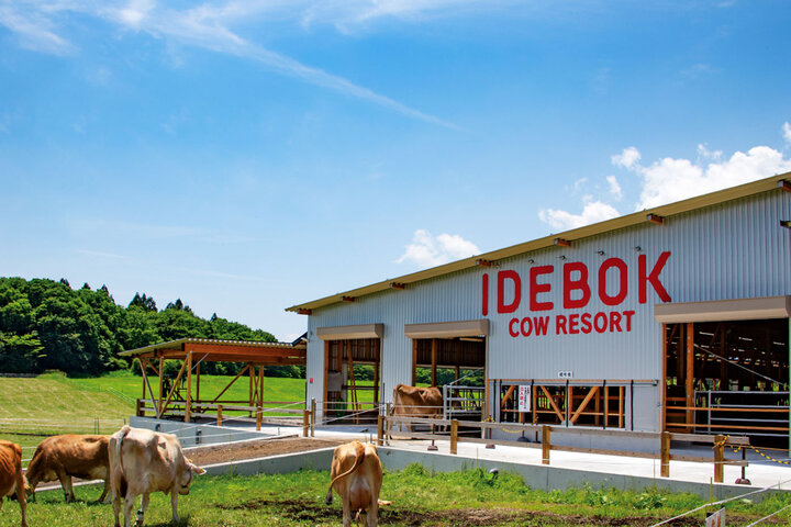 新鮮ミルクの牧場グルメを味わえる「COW RESORT IDEBOK」