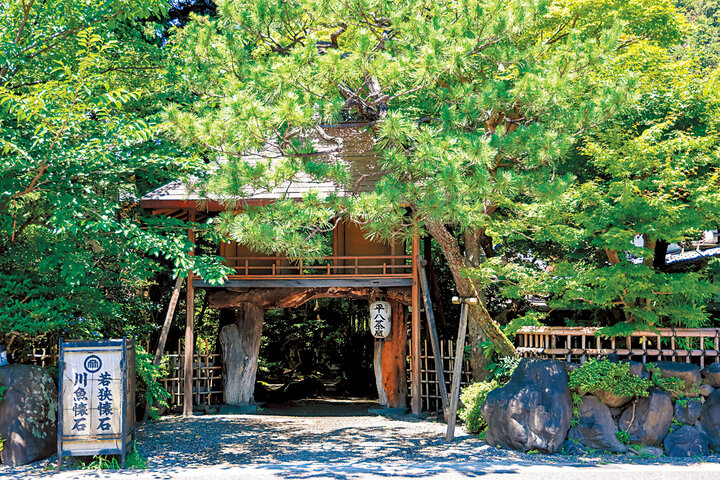 400年以上、旅人に愛される鯖街道の名物ご飯「山ばな 平八茶屋」