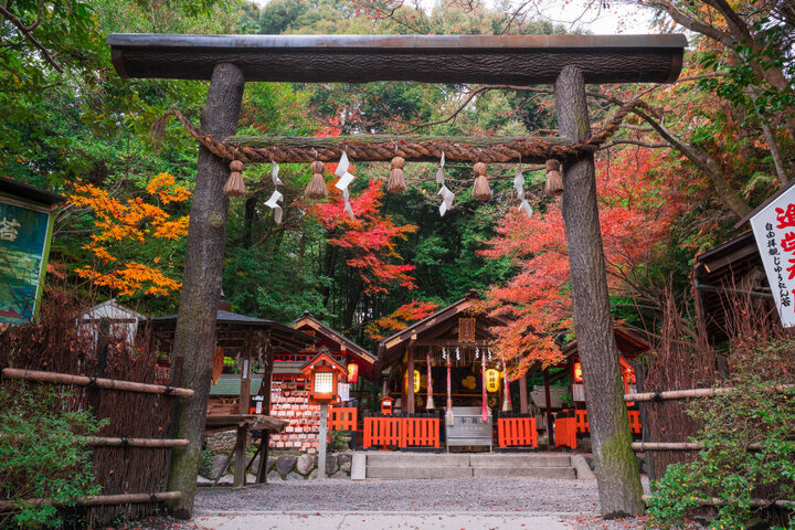 『源氏物語』の世界観が今も残る社・野宮神社