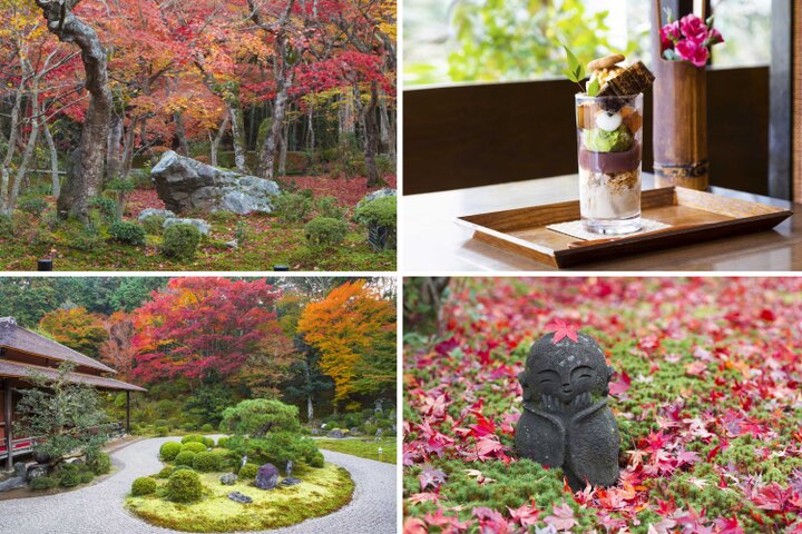 【京都・一乗寺の紅葉さんぽ】洛北の名庭をめぐって、心に染み入るしっとり静かな秋を♪