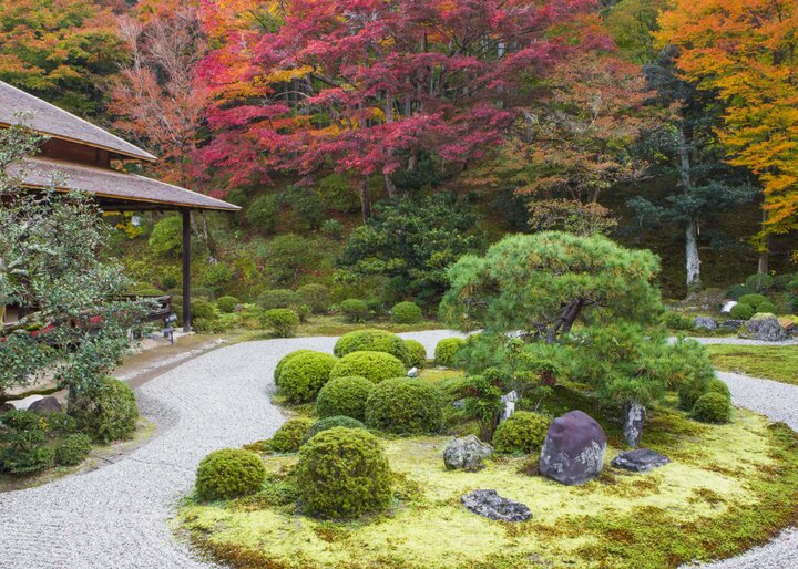 小さな桂離宮とも呼ばれる皇族ゆかりの寺院「曼殊院」