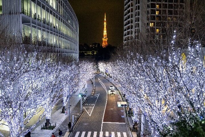 六本木ヒルズのクリスマスイベントまとめ。イルミネーションや天空のアフタヌーンティーも【2024年】