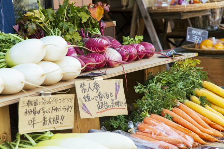 新鮮な野菜から元気をチャージ