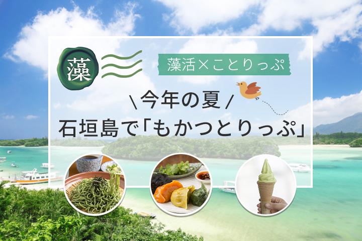 今年の夏は、石垣島で「もかつとりっぷ」